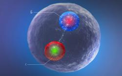 Podařilo se pozorovat Bc*+ složený z kvarků c a anti-b v datech experimentu ATLAS (zdroj CERN)