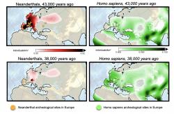 Vymizení neandrtálců. Kredit: Institute for Basic Science.