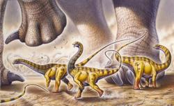 Mláďata obřího pozdně jurského sauropoda druhu Apatosaurus ajax v plném běhu. Také dospělci vážící téměř 30 tun však byli nejspíš schopni zrachlit až na téměř 17 km/h, což zhruba odpovídá středně rychlému lidskému běhu. Kredit: Fabio Pastori; Wikipedia (CC BY-SA 4.0)