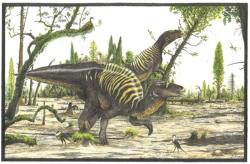 Díky unikátním objevům z posledních let už víme, že obří kachnozobí dinosauři (jako byl i zobrazený čínský druh Shantungosaurus maximus) mohli být zaživa tmavě hnědí až šediví. Kredit: Vladimír Rimbala (pro autorovu knihu Návrat dinosaurů, Grada, 2025 – využití pouze se svolením autora) Díky unikátním objevům z posledních let už víme, že obří kachnozobí dinosauři (jako byl i zobrazený čínský druh Shantungosaurus maximus) mohli být zaživa tmavě hnědí až šediví. Kredit: Vladimír Rimbala (pro autorovu knihu Návrat dinosaurů, Grada, 2025 – využití pouze se svolením autora)