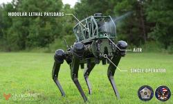 CODiAQ. Kredit: Skyborne Technologies.