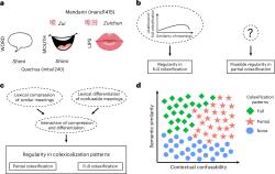Kolexifikace. Kredit: Brochhagen et al. (2026), Nature Human Behaviour.