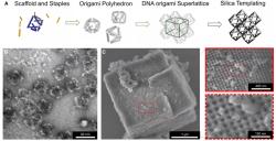 Jak vyrobit DNA nanosklo. Kredit: University of Connecticut.