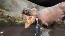 Autor článku před modelem obřího teropoda druhu Tyrannosaurus rex v životní velikosti. Tito kolosální dravci žili na úplném konci křídového období a patřili tak k posledním žijícím neptačím dinosaurům vůbec. Pravděpodobně je vyhubil dopad planetky, nikoliv indické vulkány. Kredit: Vladimír Socha, 2025 (expozice Dinosauria Museum Prague). Autor článku před modelem obřího teropoda druhu Tyrannosaurus rex v životní velikosti. Tito kolosální dravci žili na úplném konci křídového období a patřili tak k posledním žijícím neptačím dinosaurům vůbec. Pravděpodobně je vyhubil dopad planetky, nikoliv indické vulkány. Kredit: Vladimír Socha, 2025 (expozice Dinosauria Museum Prague).
