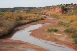 Scenérie u řeky Brazos v Texasu. Rozbor sedimentů v okolí této řeky prokázal, že na konci éry dinosaurů bylo na většině území Severní Ameriky pořádné horko. Průměrné teploty tu přesahovaly 30 °C. Kredit: Leaflet; Wikipedia (CC BY-SA 3.0)