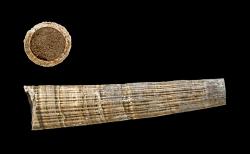 Kelnatky jsou mořští měkkýši, jejichž typickým znakem je protáhlá, rourovitá schránka. Právě objevy zkamenělin těchto bezobratlých zanechaly významnou stopu již v archeologických nálezech – pravěký člověk jich využíval pro výrobu ozdob a snad i talismanů. Na snímku miocénní zástupce druhu Dentalium badense, délka fragmentu 3,8 cm. Kredit: H. Zell, Wikipedie