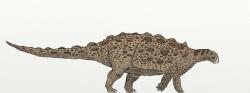 Rekonstrukce ankylosaurida druhu Gobisaurus domoculus z rané svrchní křídy Mongolska. Podobně nejspíš vypadal i Tianchisaurus nedegoapeferima. Jurský tyreofor z Číny byl však o celých 75 milionů let starším a vývojově primitivnějším zástupcem skupiny Ankylosauria. Kredit: Foolp; Wikipedia (CC BY-SA 4.0)