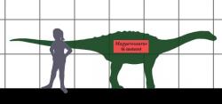 Magyarosaurus byl na současné poměry relativně velkým zvířetem, vážícím víc než dospělý kůň. Ve světě sauropodních dinosaurů byla ale pouhým trpaslíkem, dosahujícím pouze asi jedné setiny hmotnosti svých největších příbuzných. Byl také asi šestkrát „kratší“ než největší známé druhy titanosaurů, jako byl geologicky starší Patagotitan mayorum nebo Argentinosaurus huinculensis. Kredit: Conty; Wikipedie (CC BY 3.0)