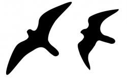 Silueta letícího sokola stěhovavého při běžném letu (vlevo) a na začátku fáze střemhlavého letu(vpravo), při kterém dosahuje tento dravý pták fantastických rychlostí. Kredit: Shyamal, Wikipedie (volné dílo)