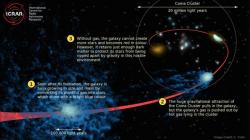 Proces zakalení galaxie v kupě galaxií. Kredit: Cameron Yozin / ICRAR / UWA.