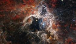 Pozorování zrodu desetitisíců nových hvězd v mlhovině Tarantule (30 Doradus), která je jednou z kolébek velmi intenzivní produkce hvězd (zdroj NASA).