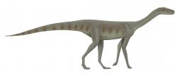 Asilisaurus kongwe byl vzhledově typickým zástupcem čeledi silesauridů, dinosauriformů blízce příbuzných „pravým“ dinosaurům. Jednalo se o štíhlého, pohyblivého archosaura, který žil v období středního triasu (asi před 245 miliony let) na území dnešní africké Tanzanie. Slavnější Silesaurus opolensis, jehož fosilie byly objeveny v polském Slezku, žil zhruba o 15 milionů let později. Kredit: Smokeybjb; Wikipedie (CC BY-SA 3.0)