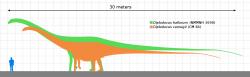 Velikostní porovnání druhů Diplodocus carnegii (oranžová silueta) a Diplodocus hallorum (zelená silueta) ukazuje, že „seismosaurus“ ve skutečnosti nebyl výrazně větší než jeho příbuzní z jiných druhů rodu Diplodocus. Byl nicméně největším dnes známým druhem diplodoka a dosahoval délky až kolem 32 metrů, což z něj činí jednoho z nejdelších známých jurských dinosaurů. Kredit: KoprX; Wikipedia (CC BY-SA 4.0)