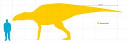 Hadrosaurus foulkii byl středně velkým hadrosauridem, dosahujícím délky v rozmezí 7 až 9 metrů a hmotnosti několika tun. Žil v době před zhruba 80 miliony let a patří tak k vývojově starším zástupcům své čeledi. O jeho životním prostředí a predátorech, kteří jej lovili, bohužel nemáme mnoho informací. Kredit: Slate Weasel; Wikipedie (volné dílo)