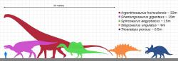 Sauropodi byli giganti dokonce i ve srovnání s ostatními dinosaury. I ti největší ornitopodi a teropodi dosahovali hmotnosti „pouze“ v rozmezí 10 až 20 tun, byli tedy několikanásobně méně hmotní než jejich největší dlouhokrcí příbuzní. Zároveň byli rekordní sauropodi přinejmenším dvakrát delšínež největší kachnozobí dinosauři a spinosauridi, kteří dosahovali délky kolem 16 metrů. V současnosti se největší sloni a nosorožci ani neblíží rozměrům byť jen středně velkých sauropodů. Kredit: KoprX; Wikipedie (CC BY-SA 4.0)