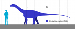 Jedním z možných původců kostřičky embrya je také menší titanosaurní sauropod Neuquensaurus australis, jehož fosilie byly formálně popsány pod rodovým jménem Titanosaurus již roku 1893. Tento patagonský zástupce čeledi Saltasauridae dosahoval v dospělosti délky nanejvýš 15 metrů a hmotnosti asi 10 000 kg, podle jiných odhadů pak dokonce jen 7,5 metru a zhruba 1800 kilogramů, což by z něj činilo jednoho z nejmenších známých titanosaurních sauropodů vůbec. Žil na území současné provincie Neuquén v době před asi 80 miliony let, není ale jisté, zda popsané embryo patřilo právě tomuto druhu. Kredit: Slate Weasel, Wikipedie (volné dílo)