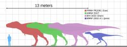 Velikostní porovnání různě starých exemplářů druhu Tyrannosaurus rex. Nejmenší z nich, exemplář známý jako „Jane“, zahynul podle nových zjištění ve věku 13 let (předchozí odhad byl o dva roky nižší). V průběhu ontogenetického růstu se tyranosauři výrazně tvarově a velikostně proměňovali. Kredit: KoprX, Wikipedie (CC BY-SA 4.0)