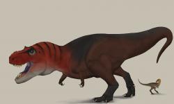 Nový výzkum naznačuje, že gigantický severoamerický teropod Tyrannosaurus rex mohl být ve skutečnosti ještě děsivějším predátorem, než jsme si dosud mysleli. Inteligencí a kognitivními schopnostmi totiž mohl údajně překonávat i současného paviána, tedy vysoce inteligentní africkou opici z čeledi kočkodanovitých. Kredit: Jose Asensi; Wikipedia (CC BY-SA 4.0)
