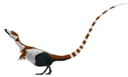 Rekonstrukce celkového vzezření a zbarvení teropodního dinosaura druhu Sinosauropteryx prima. Již v lednu roku 2010 byl odhalen pravděpodobný barevný vzor proto-peří na jeho ocasu. Kredit: Matt Martyniuk, Dinoguy2, Wikipedie