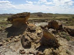 Dnes už jsou původní pozdně křídové ekosystémy geologického souvrství Hell Creek pouhou mrtvou pustinou severoamerických badlands, kdysi ale představovaly rozsáhlé oblasti kypící životem. Na lokalitě Tanis nám dokonce zachovaly svědectví o prvních minutách až hodinách po katastrofické srážce Země s planetkou na samotném konci křídy. Kredit: Vladimír Socha (vlastní snímek z východní Montany, červenec 2009).