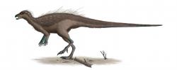 Představa o přibližném vzezření dospělého jedince druhu Parksosaurus warreni. Tento menší rychlonohý býložravec velikosti současného kasuára obýval západ Severní Ameriky jen několik milionů let před koncem druhohorní éry. Kredit: Steveoc 86; Wikipedia (CC BY 2.5)