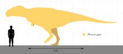 Meraxes gigas patřil k obřím karcharodontosauridním teropodům, nebyl ale největším zástupcem této čeledi. Kredit: SlvrHwk; Wikipdia (CC BY-SA 4.0)