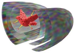 3D tisk s ultrazvukovými hologramy. Kredit: MPI for Medical Research, Heidelberg University/ Kai Melde