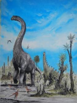 Způsob chůze obřích sauropodních dinosaurů byl až donedávna pro paleontology velkou neznámou. Kredit: Vladimír Rimbala, ilustrace ke knize autora článku Dinosauří rekordy a zajímavost (2021).
