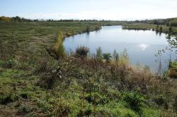 Umělé jezero na Haldě Hrabůvka. Pohled směrem na jih. V pozadí panorama Beskyd. Foto: A. Uhlíř, říjen 2023.