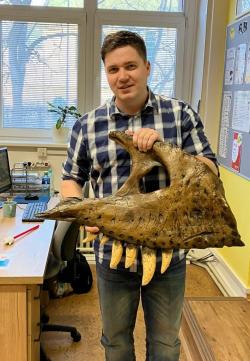 Autor článku s anatomicky přesnou replikou maxily UCMP 118742, obřího subadultního jedince druhu Tyrannosaurus rex. Celková délka tohoto teropoda činila asi 12 metrů, lebka samotná měřila na délku kolem 140 centimetrů. Kredit: M. Michalski; z přednášky pro Mineralogický klub v České Třebové (20. 3. 2024).