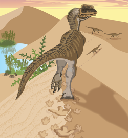 Dilophosaurus wetherilli byl středně velký teropodní dinosaurus, žijící na počátku jurského období (zhruba před 195 až 184 miliony let) na území dnešní Arizony v USA. Svému filmovému protějšku z Jurského parku se však příliš nepodobal. Kredit: National Park Service; Wikimedia Commons (volné dílo)