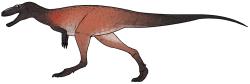Khankuluu mongoliensis byl menší až středně velký tyranosauroidní teropod, představující ve svých ekosystémech oportunistického predátora. Pravděpodobně byl velmi rychlým a svižným dravcem, specializovaným na lov menších dinosaurů zhruba do velikosti koně. Kredit: Connor Ashbridge; Wikipedia (CC BY 4.0) Khankuluu mongoliensis byl menší až středně velký tyranosauroidní teropod, představující ve svých ekosystémech oportunistického predátora. Pravděpodobně byl velmi rychlým a svižným dravcem, specializovaným na lov menších dinosaurů zhruba do velikosti koně. Kredit: Connor Ashbridge; Wikipedia (CC BY 4.0)