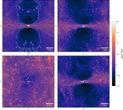 Uspořádání hmoty a temné hmoty v oblasti Místní skupiny galaxií. Kredit: Wempe et al. (2026), Nature Astronomy.