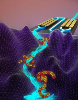 Fotonický Ising. Kredit: Queen's University.