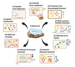 Vznik metabolismu v hydrogelu. Kredit: Khanum et al. (2025), ChemSystemsChem.