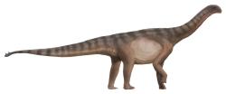 Zhruba tak nějak mohl vypadat Rhoetosaurus brownei. Na ilustraci je jeho lépe známý vývojový příbuzný, sauropod druhu Shunosaurus lii, žijící před zhruba 160 miliony let na území dnešní jihozápadní Číny (provincie S’-čchuan). Kredit: Smokeybjb; Wikipedia (CC BY-SA 3.0)