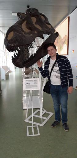 Navzdory ohromné velikosti a síle byly čelisti slavného teropoda druhu Tyrannosaurus rex velmi senzitivní a poskytovaly dravci velmi cenné služby nejen při lovu a soubojích, ale možná také při stavbě hnízd nebo třeba při péči o mláďata. Na snímku autor článku u repliky lebky populárního exempláře AMNH 5027 v prostorách Katedry geologie při PřF UPOL. Autorem snímku Michal Matějka, říjen 2019.