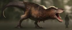 Tyrannosaurus rex byl patrně nejhmotnějším známým dravým dinosaurem všech dob (ačkoliv nebyl nejdelší a neměl ani největší lebku). Rozhodně ale nebyl největším dinosaurem vůbec, jak je stále v některých nekvalitních publikacích uváděno. Tento primát samozřejmě patří gigantickým sauropodům. Kredit: RJPalmerArt; Wikipedia (CC BY-SA 4.0)