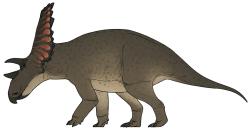 Hypotetická výtvarná rekonstrukce zástupce druhu Cryptarcus russelli. Stejně jako jeho vývojoví příbuzní byl i tento ceratopsid stádním býložravcem, živícím se nízko rostoucí vegetací. Žil v době před zhruba 75 miliony let na území dnešní kanadské provincie Alberta. Kredit: Connor Ashbridge; Wikimedia Commons (CC BY 4.0)