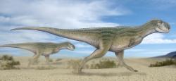 Poslední známý žijící abelisaurid druhu Chenanisaurus barbaricus, formálně popsaný roku 2017 na základě fosilií z pánve Oulad Abdoun v Maroku. Kdyby nedošlo k velkému vymírání na konci křídy, právě potomci podobných teropodů by se možná dále vyvíjeli a nadále by představovali dominantní predátory ve většině pevninských ekosystémů staršího paleogénu. Kredit: Paleocolour; Wikipedie (CC BY-SA 4.0)