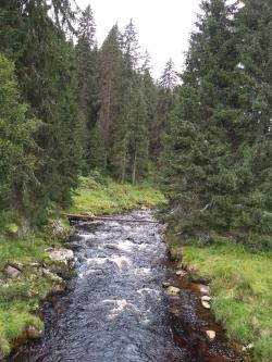 I při posuzování vlivu energetiky na životní prostředí je třeba analyzovat všechny environmentální dopady, nejen emise oxidu uhličitého. Aby naše krajina zůstala krásná. Na snímku je okolí Modravy (foto Vladimír Wagner).