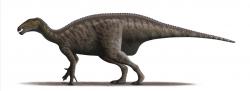 Přibližná podoba původce větších fosilních otisků ze Špicberků. Jednalo se patrně o mohutného ornitopodního dinosaura, příbuzného ve stejné době žijícímu rodu Iguanodon. Vzhledem k absenci jakýchkoliv kosterních pozůstatků těchto dinosaurů však o nich zatím s jistotou nemůžeme říci nic konkrétního. Kredit: Steveoc 86; Wikipedia (CC BY-SA 3.0)