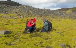 Sylvie Presselová (na snímku vpravo): „Raný život na zemi s malým „z“, připomínal porost výtrusných rostlin, který byl velmi podobný tomuto na lávovém poli na Islandu.  Kredit: Paul Kenrick.