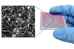 Nanodrátkový zázrak. Kredit: Marc Roseboro/CNSI at UCLA.