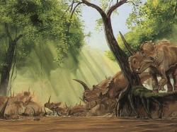 Dříve se předpokládalo, že masovou akumulaci fosilií centrosaurů způsobila rozbouřená řeka, ve které utonula celá stáda těchto ceratopsidů. Kredit: Gregory S. Paul