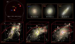 Simulace splývání trojice kvasarů v kosmickém poledni. Kredit: Ni et al. (2022), Astrophysical Journal Letters.