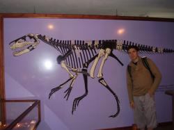 Rekonstrukce kostry polského archosaura druhu Smok wawelski v malém muzeu v Lisowicích, nedaleko místa objevu. Pro porovnání na snímku s autorem blogu, který muzeum navštívil v srpnu roku 2008. Kredit: Vladimír Socha, 9. 8. 2008.