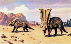 Burianova malba dvojice rohatých dinosaurů druhu Chasmosaurus belli, vytvořená v duchu „Dinosauří renesance“. Kredit: Zdeněk Burian, 1976.