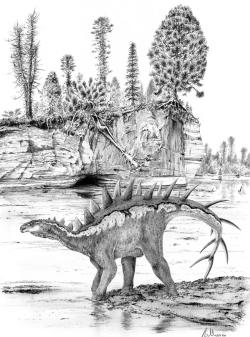 Západoevropský druh Dacentrurus armatus je jedním z největších i prvních vědecky popsaných stegosauridů. Patří k nejlépe známým zástupcům kladu Stegosauria, žil ale v období pozdní jury a nepatřil tak ani k nejstarším, ani k nejmladším dosud známým stegosaurům. Kredit: Vladimír Rimbala, ilustrace pro autorovu knihu Pravěcí vládci Evropy (Kazda, 2020).
