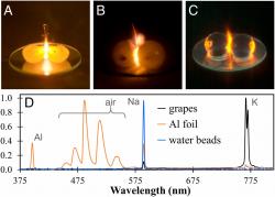 Řešení záhady explodujících bobulí. Kredit: Khattak et al. (2019), PNAS.